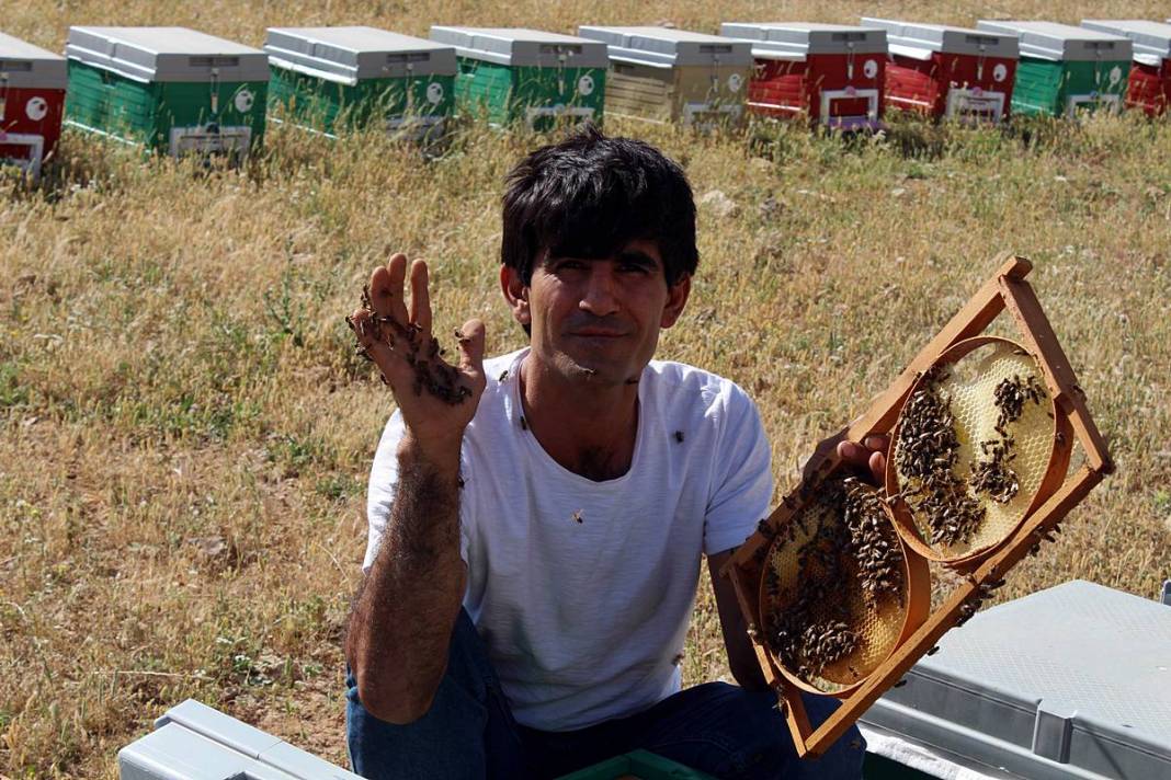 Arılarla dans eden adam: Kovanların yeni süper kahramanı! Bal gibi insan, arıların yakın dostu 4